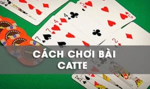 Bí Quyết Chinh Phục Sắc Tê RikVip Cho Bet Thủ Chuyên Nghiệp