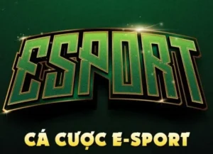 Bí Quyết Chinh Phục Cá Cược Esports Tại RikVip Trong 6 Bước